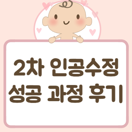 2차 인공수정 과정 후기