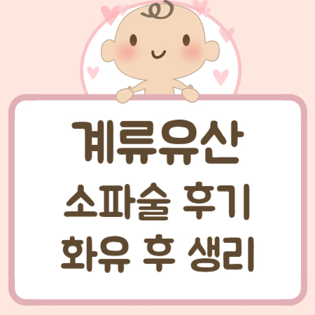계류유산-소파술-후기