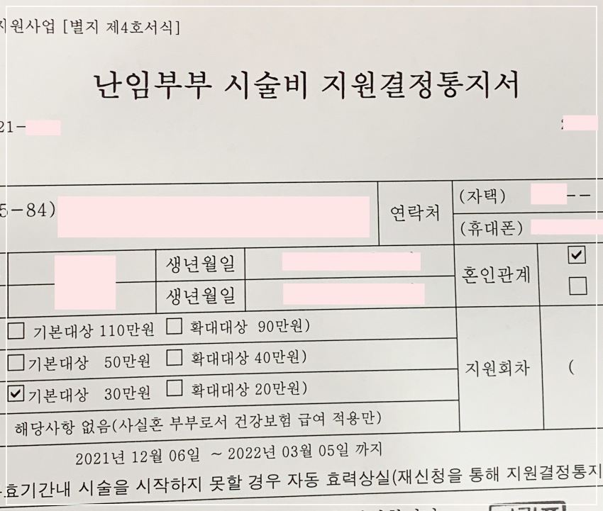 인공수정 과정