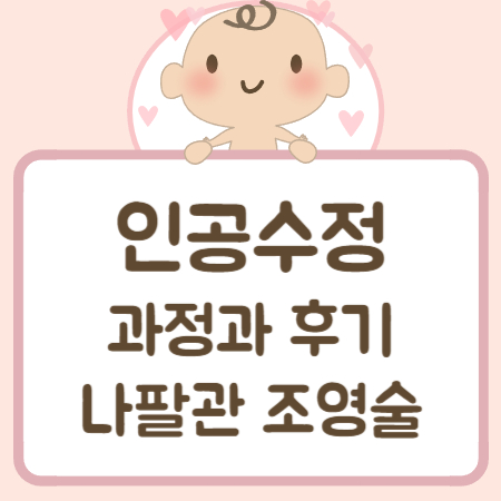 인공수정-과정-후기