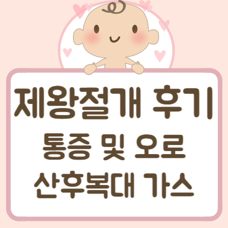 제왕절개 후기 통증 오로