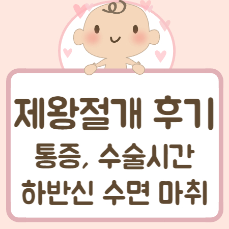 제왕절개 후기 수술시간 통증