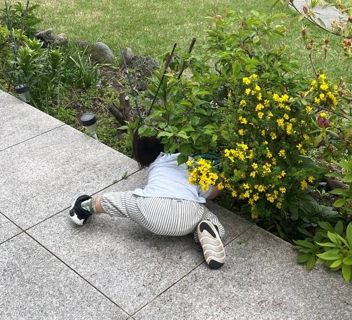 19개월 아기 발달 지연